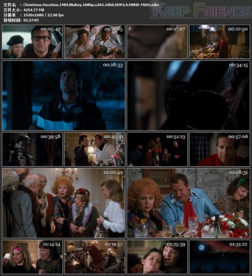 Christmas.Vacation.1989.BluRay.1080p.x265.10bit.DDP2.0.MNHD FRDS.mkv